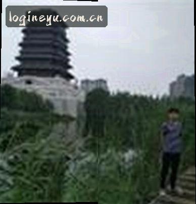 赵哥